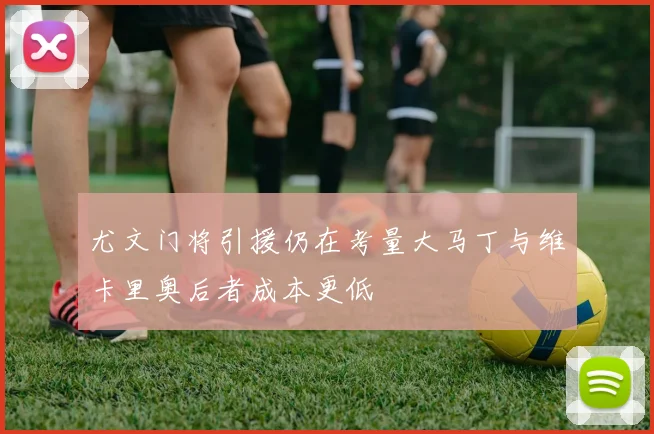 尤文门将引援仍在考量大马丁与维卡里奥后者成本更低